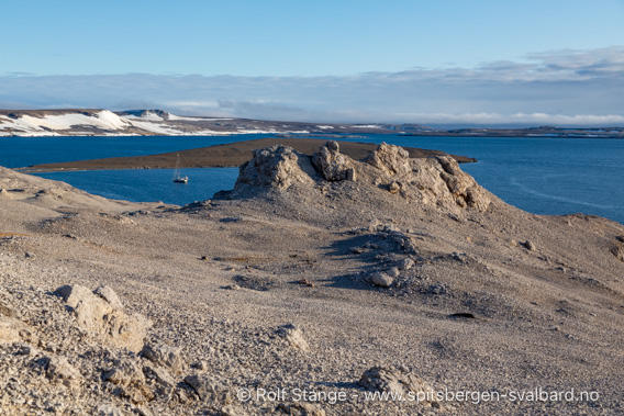 Steinørken, Kvalrosshalvøya