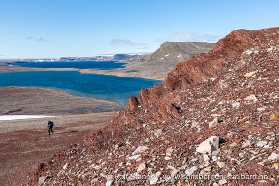 Røde avsetningsbergarter