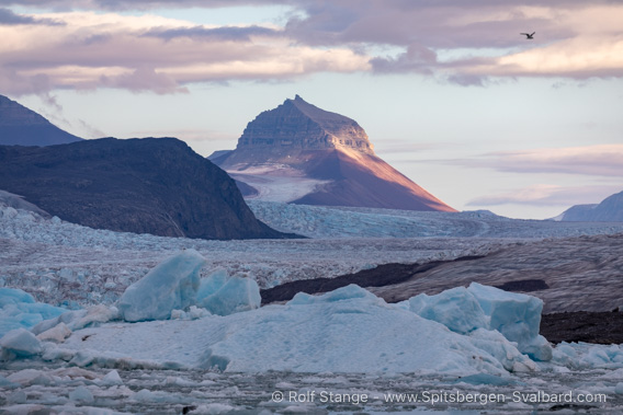 Kongsfjord