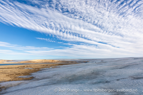 Vestfonna, Palanderbukta