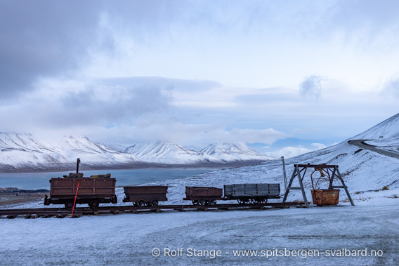 Polarnatt