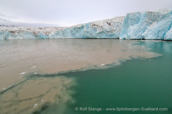 Meltwater, glacier
