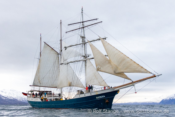 Segelschiff Antigua