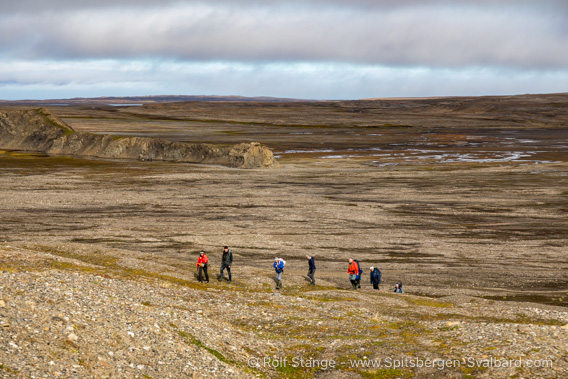 Hiking, Erdmannflya
