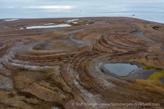 Fossil beach ridges, Erdmannflya