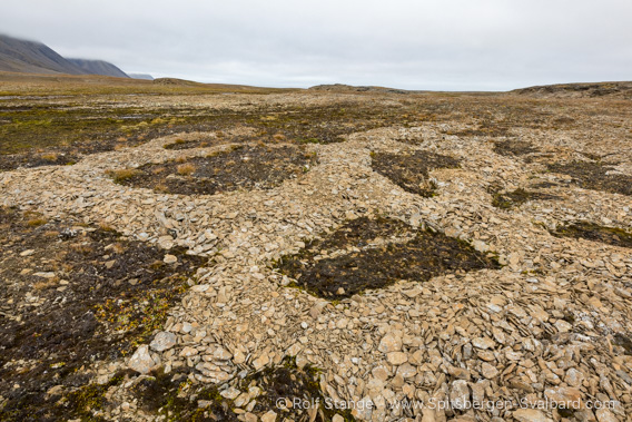 Frost patterned ground, Erdmannflya