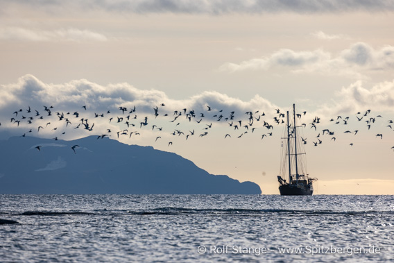 Spitzbergen, Segelschiff Meander