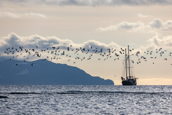 Spitsbergen, sailing ship Meander