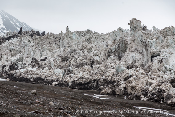 Glacier edge, Wahlenbergbreen