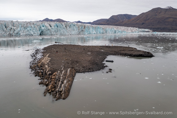 Island Borebreen