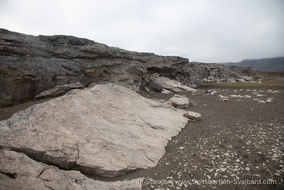 Lower Cretaceous sandstone, Tundraodden