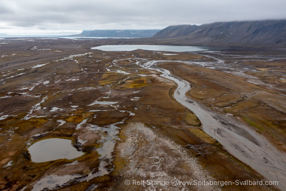 Tundra landscape, Erdmannflya