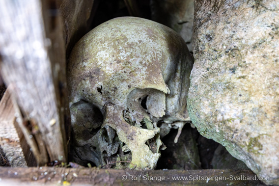 Pomor grave