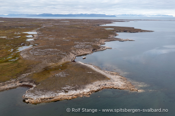 Bohemanflya, kystlandskap