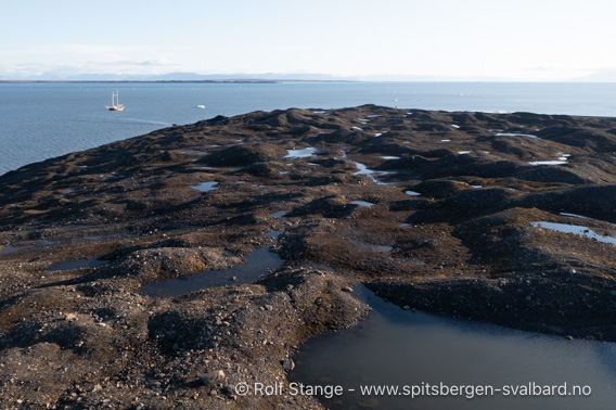 Morenelandskap, Tundraodden
