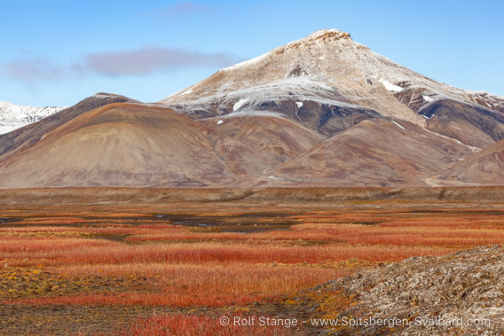 Tundra