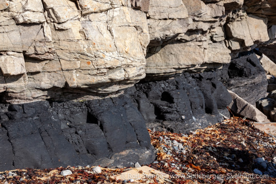 Festningen-sandstone and coal