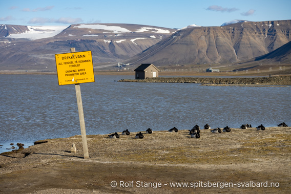 Isdammen: drikkevann for Longyearbyen