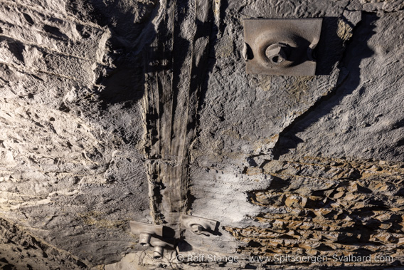 Fossilised tree, mine 7