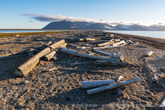 Poolepynten, Prins Karls Forland: landscape